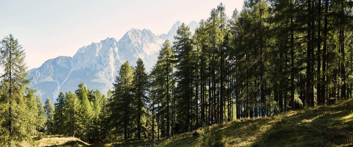 STIHL Tirol sustainability